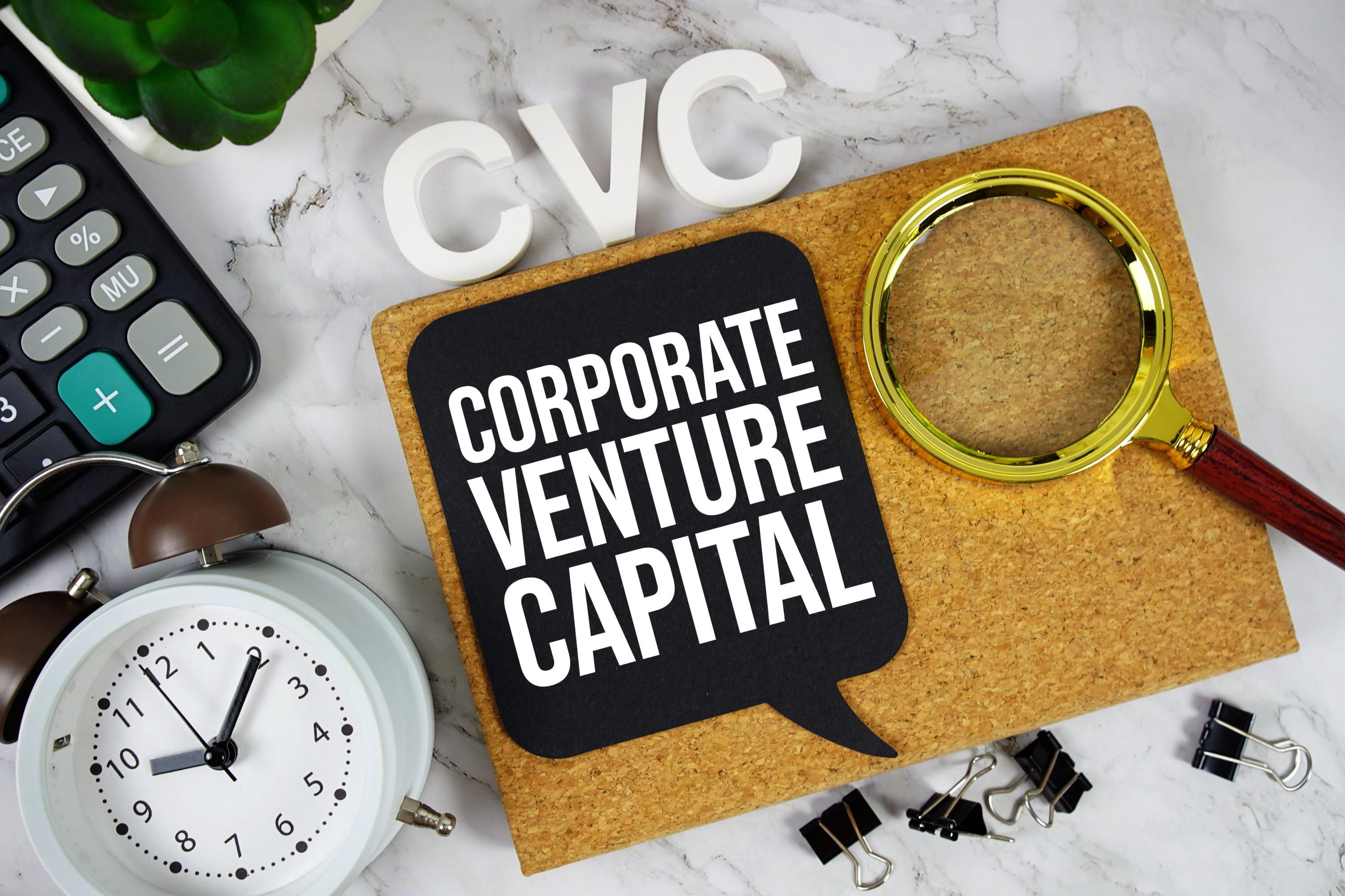 Find Top-Rated, Experienced Venture Capitalists